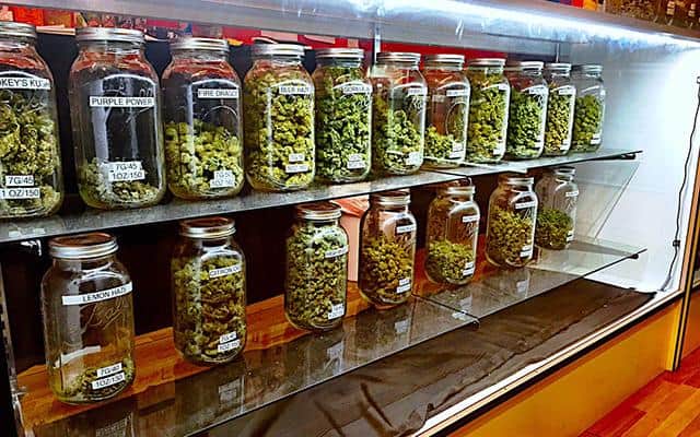 Miami Dispensary Locations