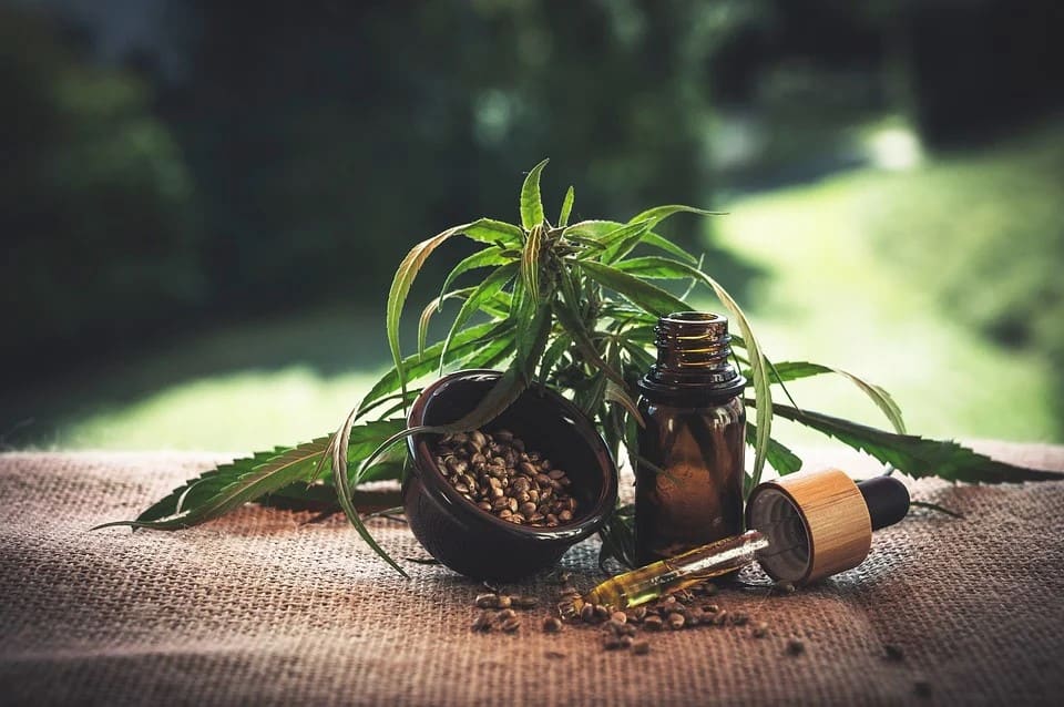 Fit with CBD: Top Oil Use for Peak Performance