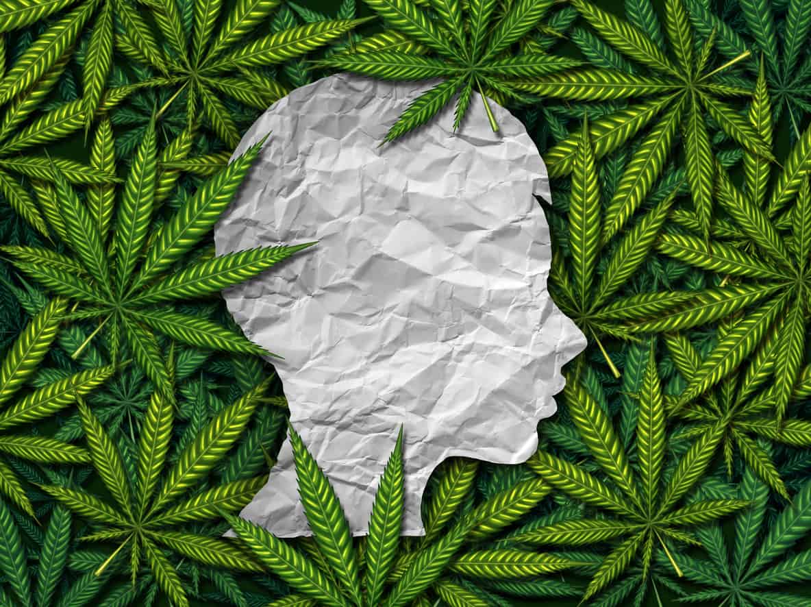 Can higher THC levels cause drug addiction? Will Florida limit dosing?