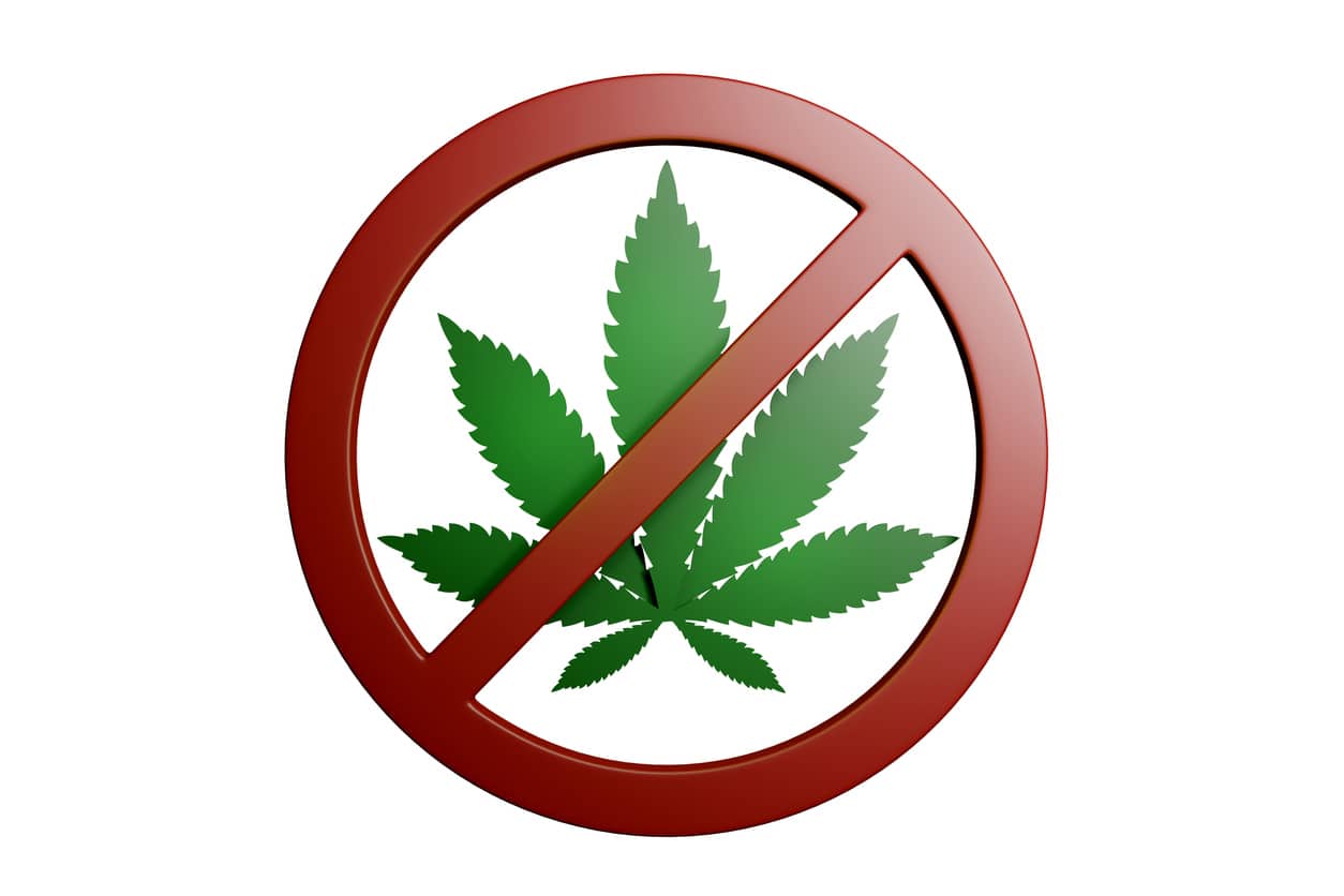 Marijuana Debate: Key Pros & Cons Unveiled