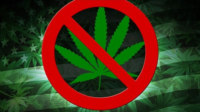 Why Is Marijuana Classified as Illegal? | KindHealth